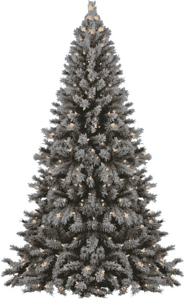 Christmas tree, holidays, christmas decoration tree PNG