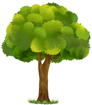 Drawing Green Tree Plant, tree illustration image png