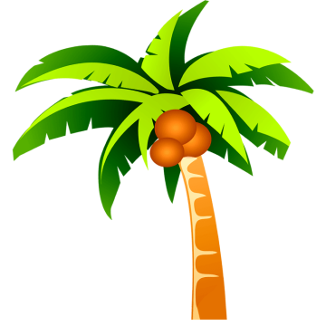 Drawing coconut tree illustration image , Coconut tree