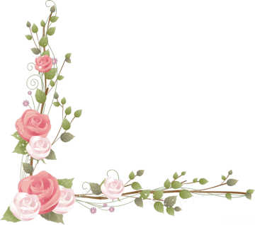 Flower Rose, Rose png transparent image, pretty flowers