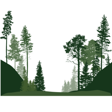 Forest of trees illustration, Drawing forest trees, leaf png