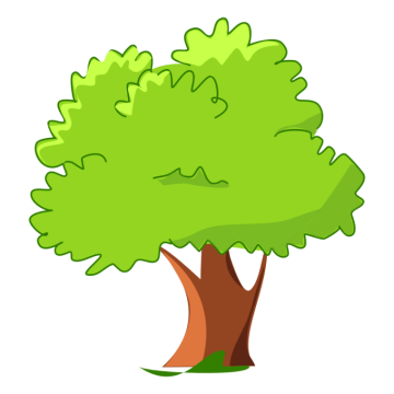 Illustration drawing tree, new green leaf with tree drawing