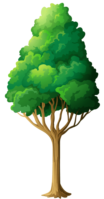 Tree, green tree illustration, leaf, branch, plant stem png