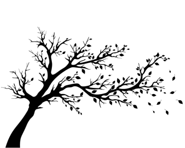 Tree silhouette decal tree, leaf, black color tree branch