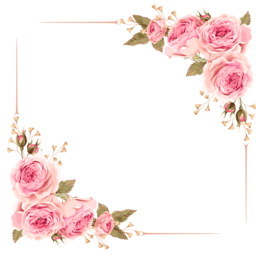 corner roses, rose frame png transparent image