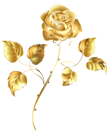 gold rose, Rose png transparent image, flower Arranging