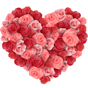 Red roses, Flower, Heart, Rose, love, flower