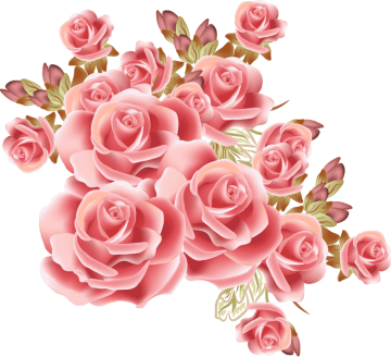 pink rose png, Rose png transparent image, Rose Flower