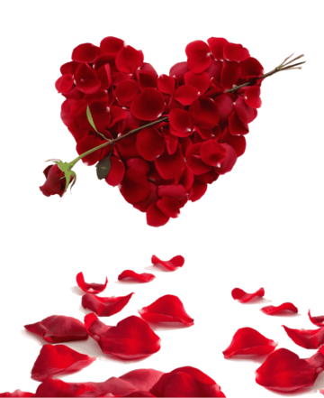 Red flowers, Flower Valentine's Day, love, Heart png