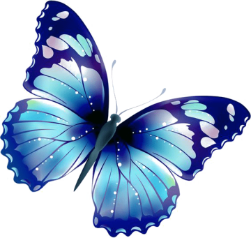 Beautiful butterfly, blue butterfly, blue color butterfly png