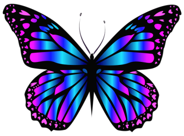 Colorful butterfly draw by illustration,blue butterfly, purple