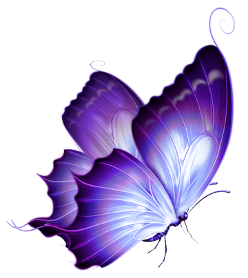 Purple and white butterfly illustration, butterfly colorful