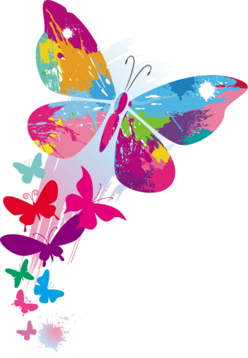 Rainbow color butterfly art in illustration software