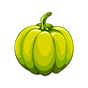 green pumpkin drawing by illustration