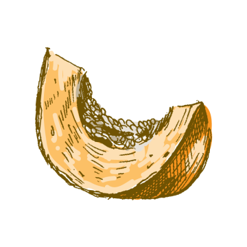 pumpkin slice drawing by illustration