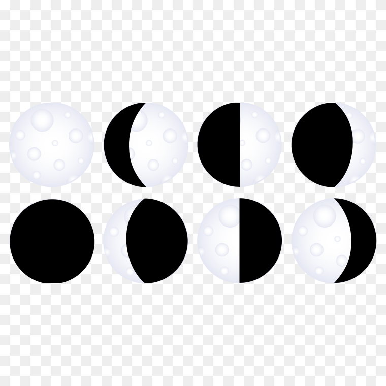 Black And White Moon Phases Chart Transparent Background