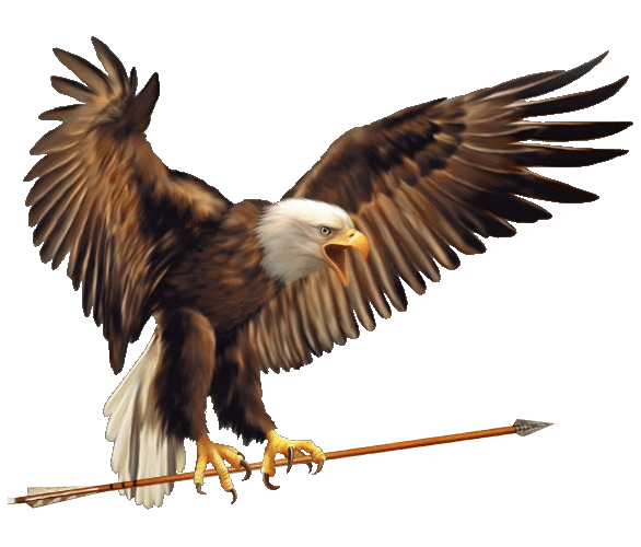 Angry eagle bird free PNG download