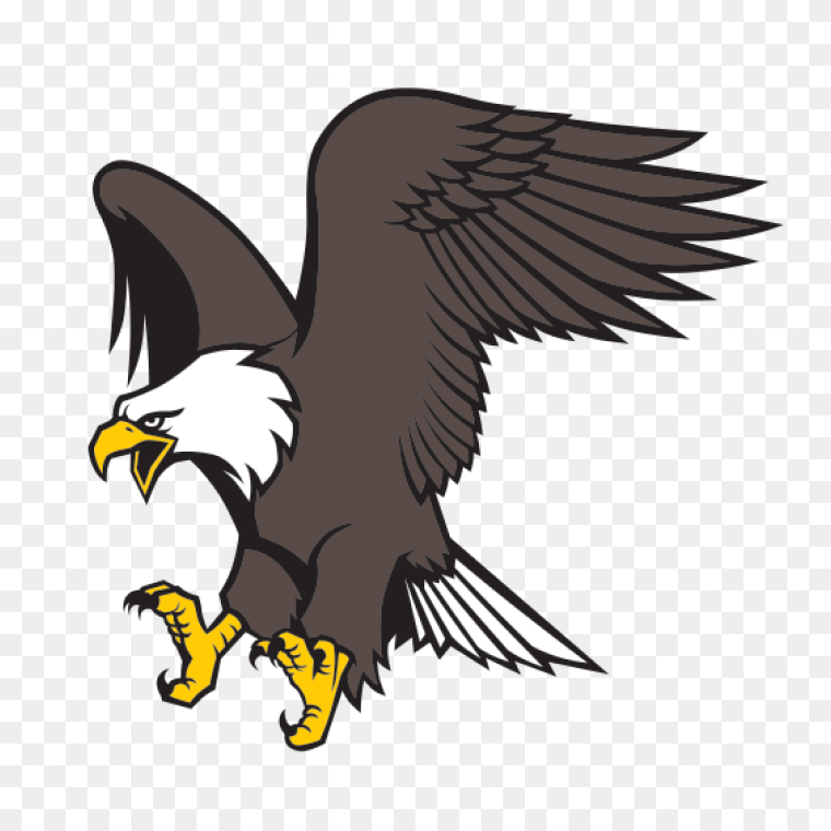 Bald eagle cartoon transparent image free download