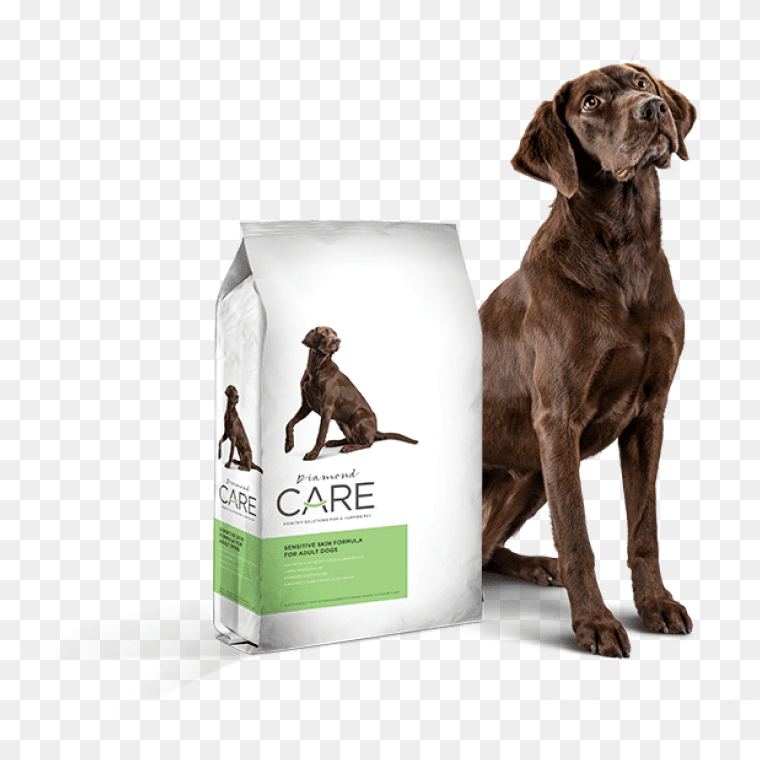 Diamond Care Sensitive Skin Formula Adult Dog Food, Diamond Dogs Logo Png Food Network Logo Png Dog Paw Print Png Hot Dog Png Funny Dog Png Cute Dog Png