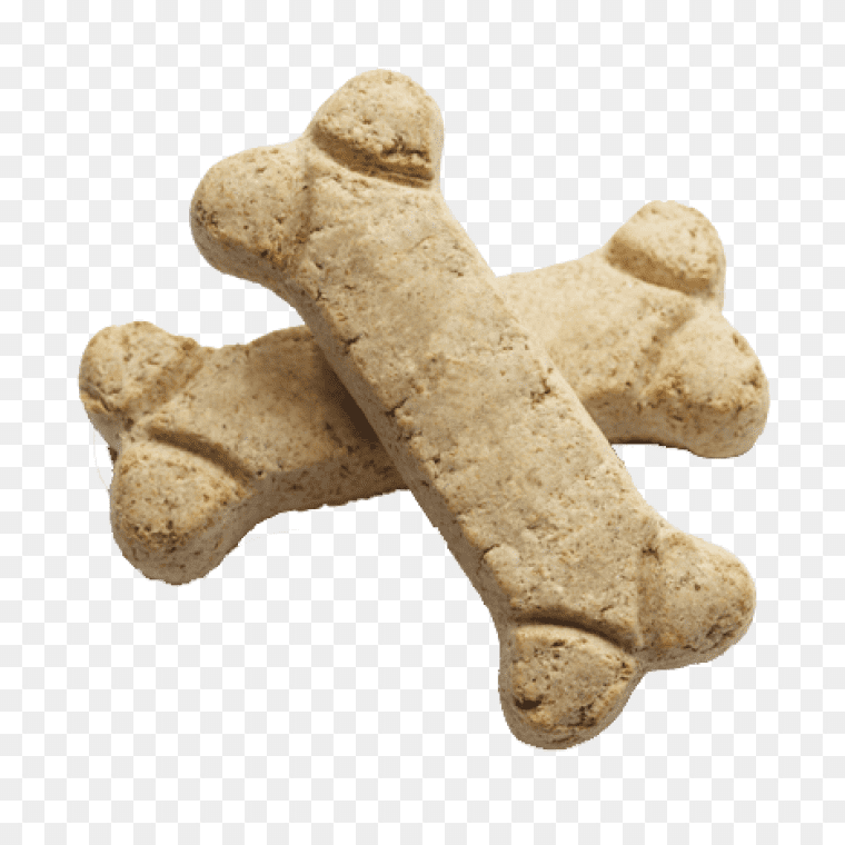 Dog Bone Transparent Image Free Download Now