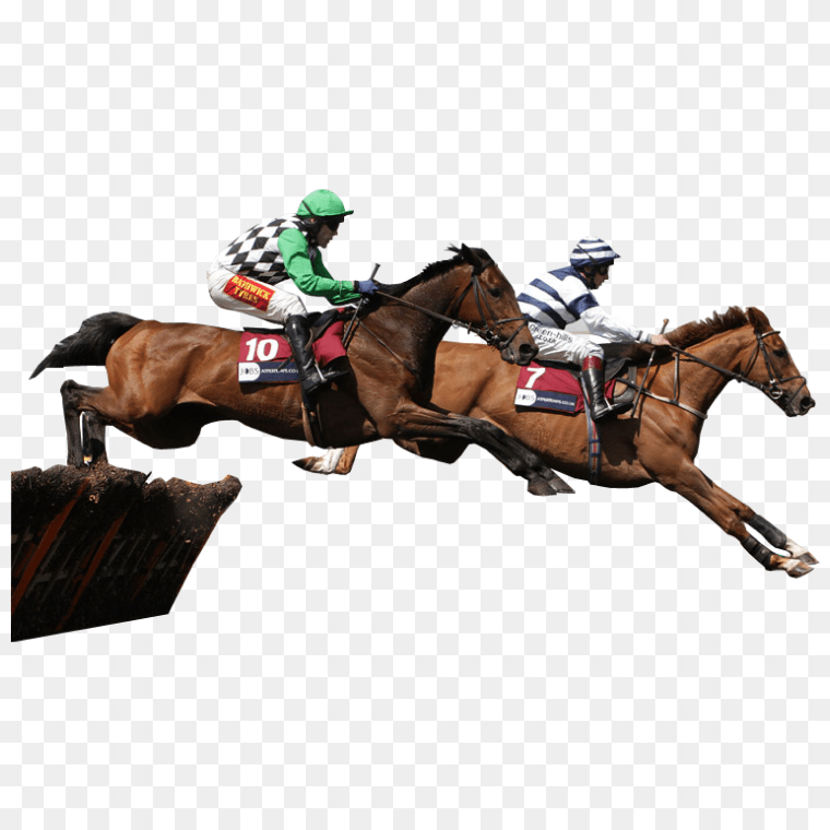 Dual Gallop Intense Horse Racing Jockeys and Sports Betting, horse, horse, animals, sport png