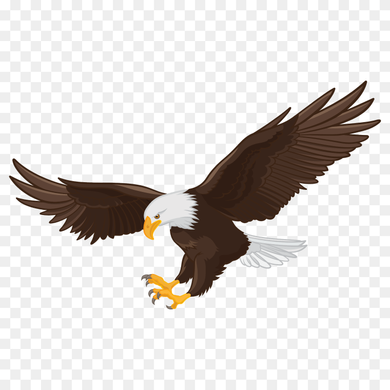 Eagle graphic design logo free PNG download