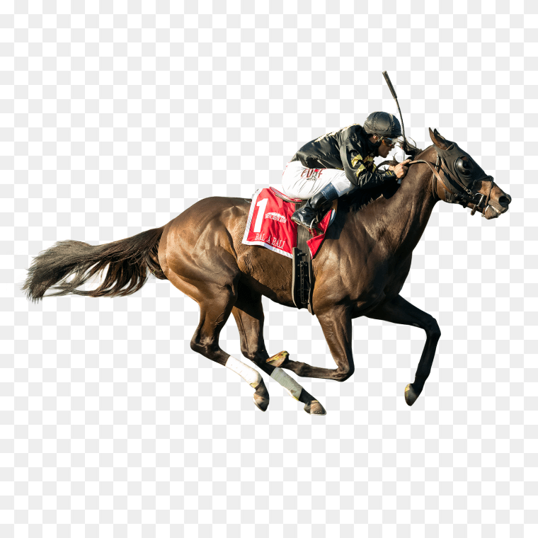 Fresh Start: Exciting Racing Horse Transparent Images Download, Racing horse, horse, mare, horse Tack png
