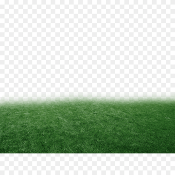 Free Green Grassland Texture PNG image,Pasture Lawn Meadow Grasses Grassland, brazil, atmosphere, landscape, grass png