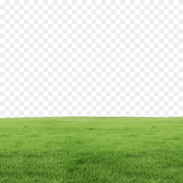 Fields Grass Background Textured - Free PNG Download Now