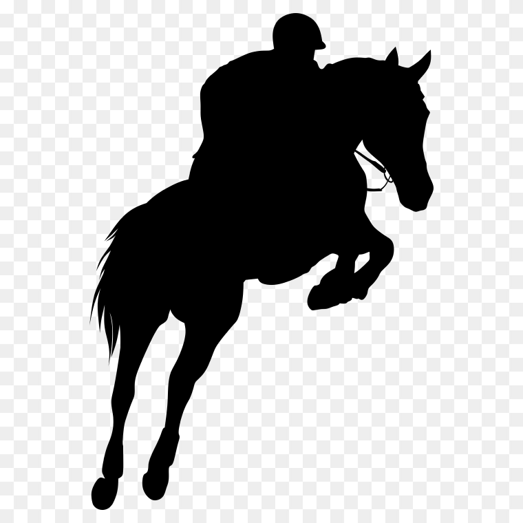 Hanoverian Horse in Equestrian Show Jumping and Racing, Horse racing, others, horse, racing, horse Tack png