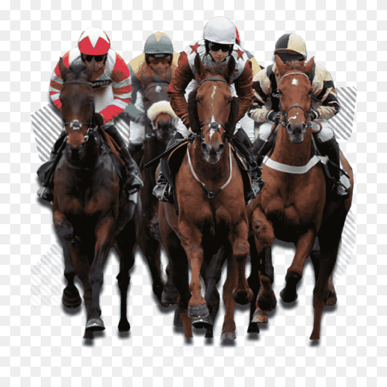 Horse Racing Sports Betting Transparent Images Free Download, betting Jockey, horse, horse, animals, sport png