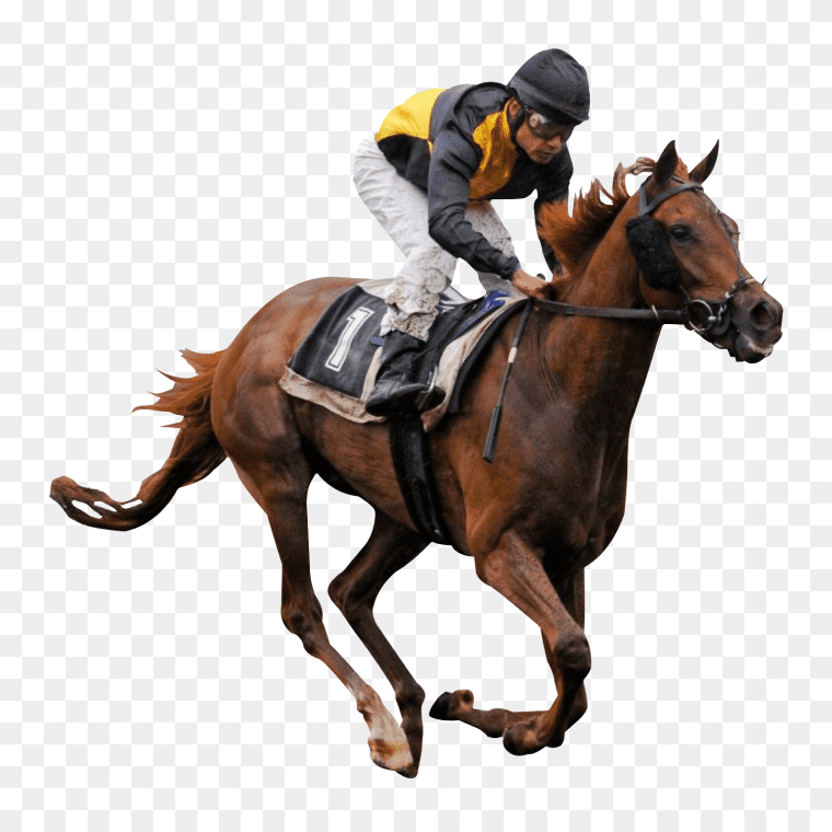 Horseman Thoroughbred Horse Racing Jockey Free Transparent Image, Horse Ride, horse, animals, racing png