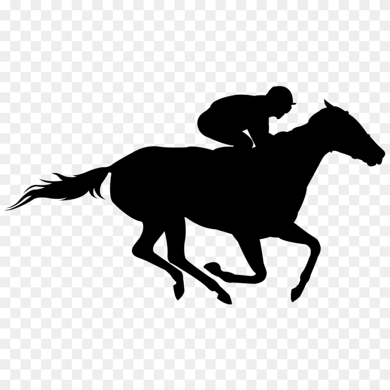 Silhouette of Person Rides On Horse Racing The Kentucky Derby, horse racing, horse, animals, racing png