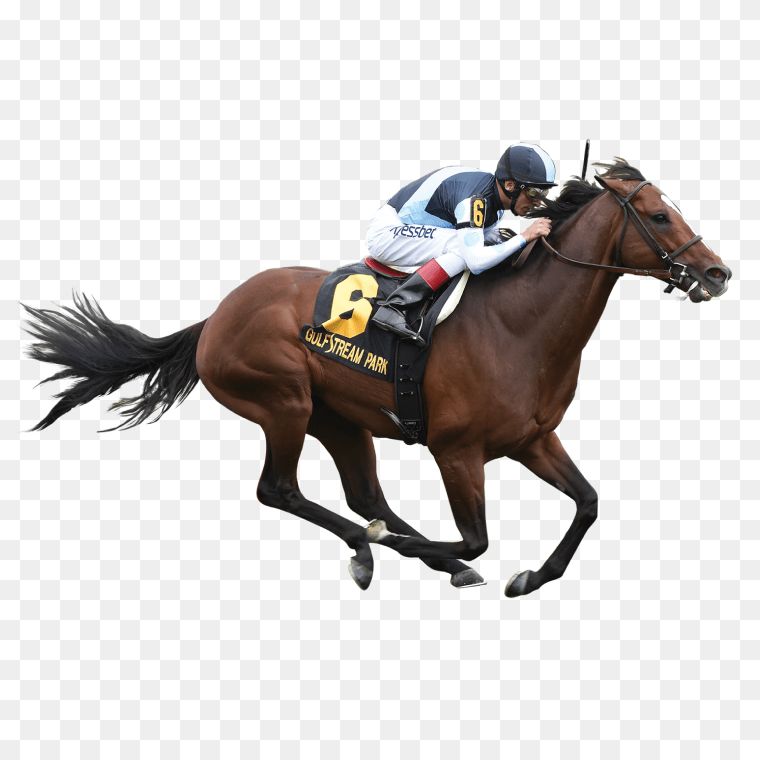 Speed and Tradition Stallion Horse Racing at Calumet Farm, Jockey, others, horse, racing, mare png