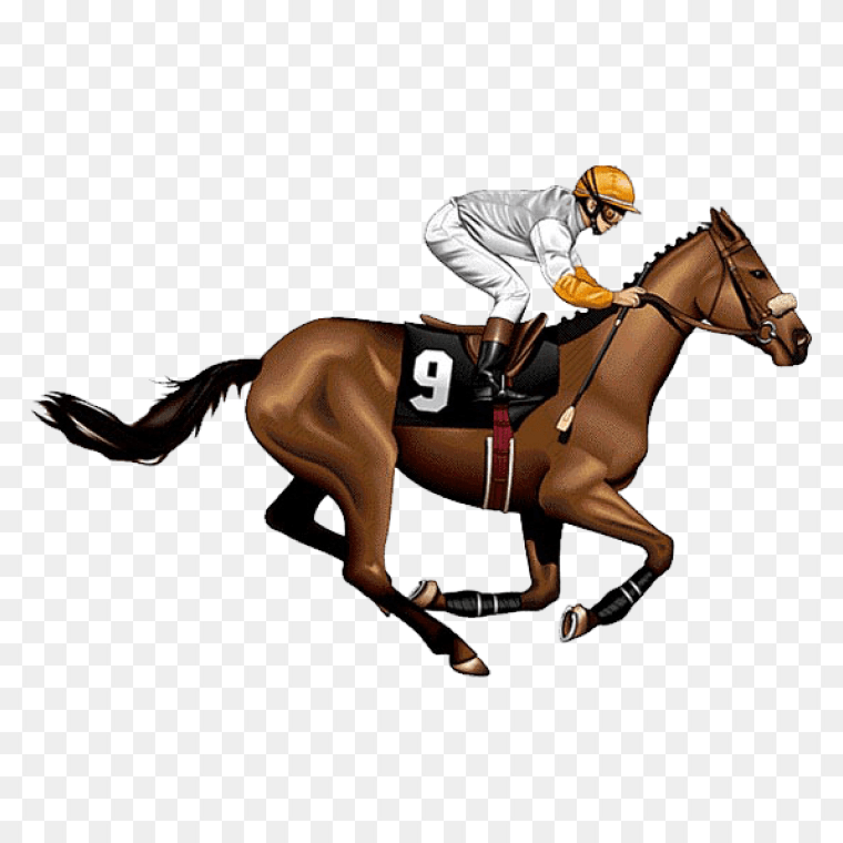 The Kentucky Derby Horse Racing Jockey, horse, racing, horse Tack png