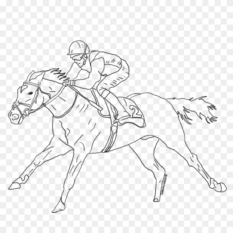Thoroughbred Horse Racing Coloring Book with Jockey Illustrations, horse race, horse, angle, mammal png
