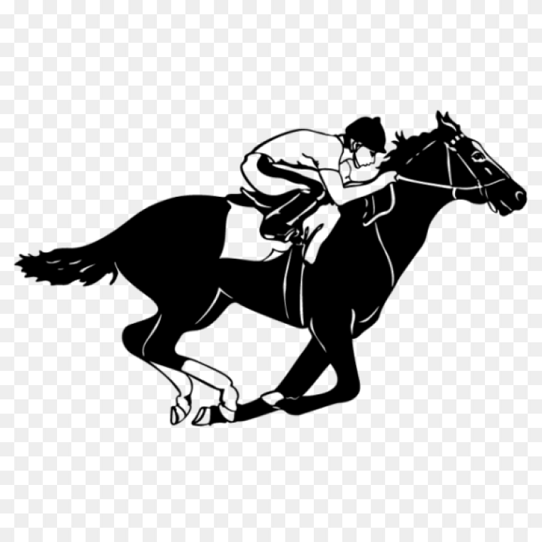 Thoroughbred Thrills Horse Racing Sticker Transparent Image, Kentucky Derby, Jockey, Thoroughbred, Preakness Stakes, Horse Racing png