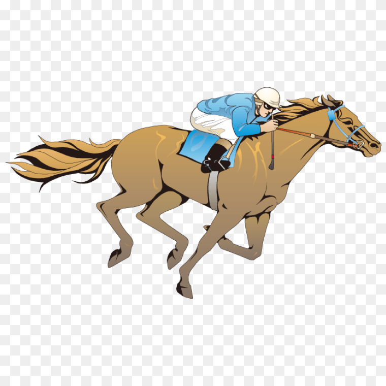 Thoroughbred Triumphs Equestrian Knight in Horse Racing, Knight Horse, horse, mammal, cowboy png