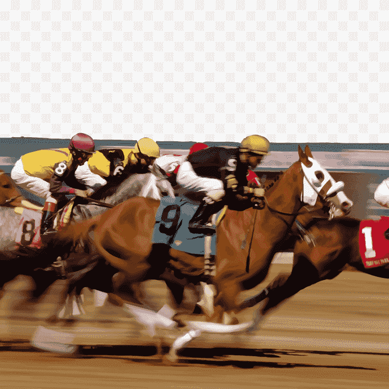 Trackside Thrills Horse Racing Sports Betting Track Excitement, Horse racing, horse, brown, animals png